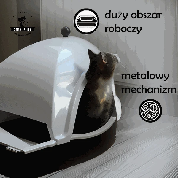 Smart Kitty – polska automatyczna kuweta dla kotów premium